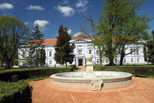 Kimy Home Mojmirovce Екстер'єр фото